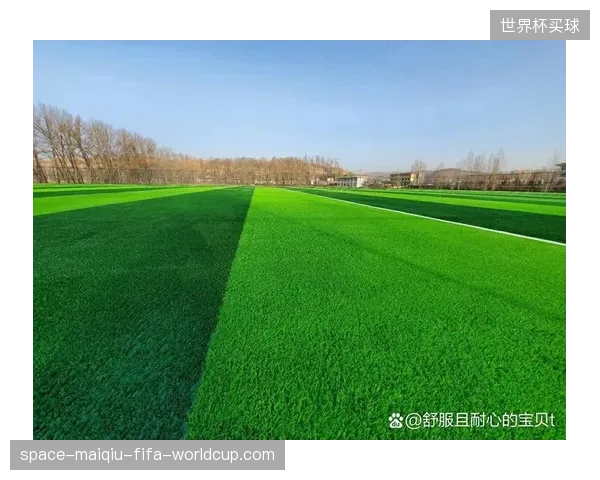 北美世界杯引入混合草坪，有望为奥地利队提供更稳定的比赛场地。